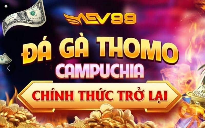 AEV99 trang cá cược trực tuyến uy tín số 1 Việt Nam AEV99 trang cá cược trực tuyến uy tín số 1 Việt Nam