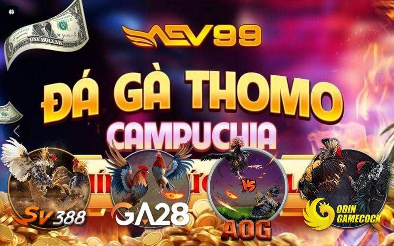 Đá gà AEV99 sân chơi đá gà trực tuyến số 1 Việt Nam Đá gà AEV99 sân chơi đá gà trực tuyến số 1 Việt Nam