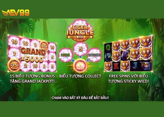 Giới thiếu các bước tham gia nổ hũ Rừng Cọp AEV99 Giới thiếu các bước tham gia nổ hũ Rừng Cọp AEV99